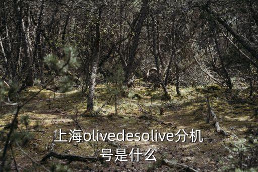上海市凡心芝麻糊世茂廣場店，誰知道上海的 NIKE ID的具體位置過去是要預約的么價錢是怎么算