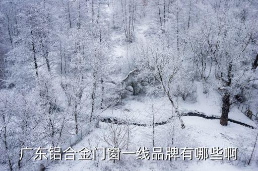 廣東鋁合金門窗一線品牌有哪些啊