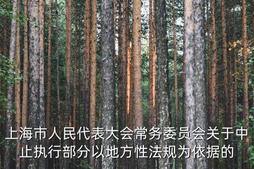 上海市第11次代表大會，印海蓉多大年齡