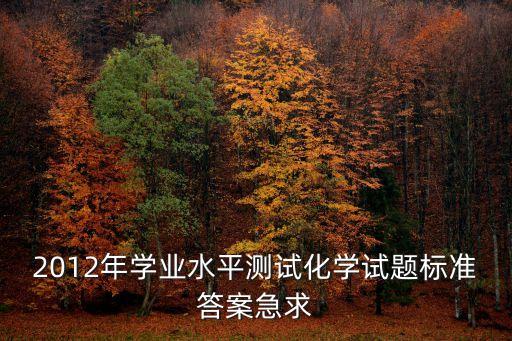 上海市化學學業水平考試答案，化學試題及答案