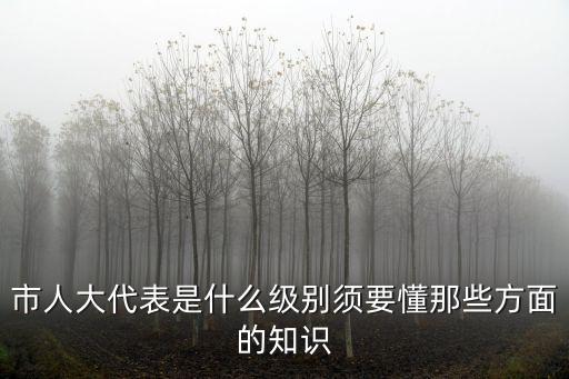 市人大代表是什么級別須要懂那些方面的知識