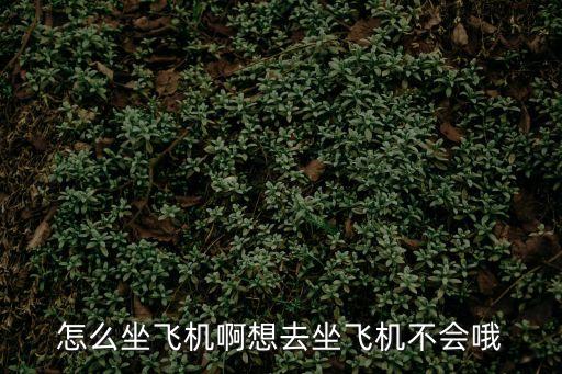 怎么坐飛機啊想去坐飛機不會哦