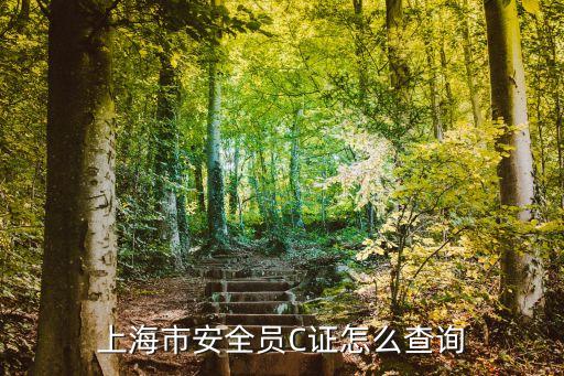 上海市安全員c證書查詢網址，上海市安全員C證怎么查詢