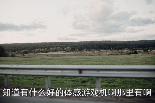 體感游戲機，知道有什么好的體感游戲機啊那里有啊