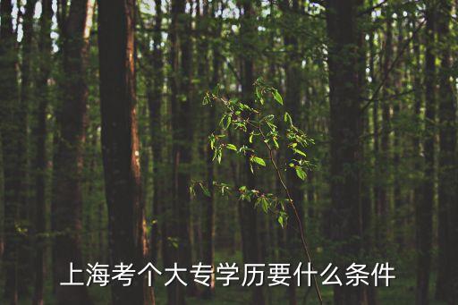上海市職業學院報名條件，上海考個大專學歷要什么條件