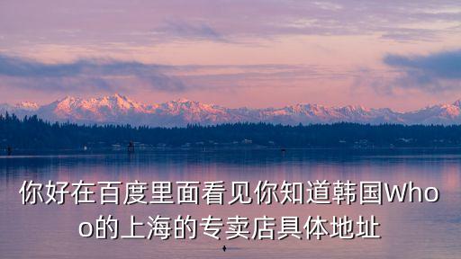 你好在百度里面看見你知道韓國Whoo的上海的專賣店具體地址