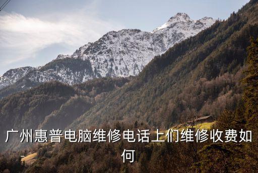 廣州惠普維修價格，廣州惠普電腦維修電話上們維修收費如何