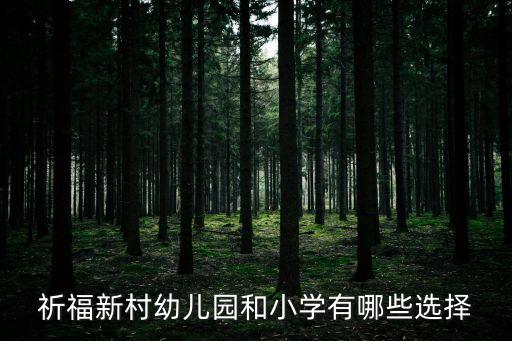 祈福新村幼兒園和小學有哪些選擇