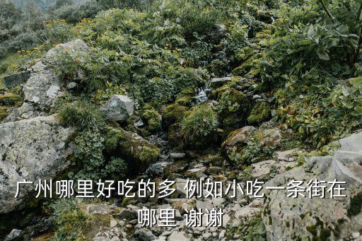 廣州哪里好吃的多 例如小吃一條街在哪里 謝謝