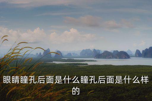 視區，最治療弱視的穴位眼區