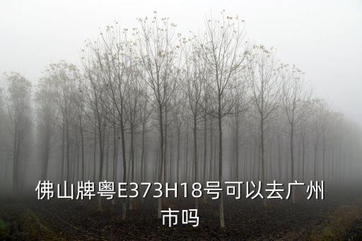 佛山牌粵E373H18號可以去廣州市嗎