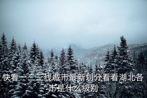 中國城市新分級名單，北海算幾線城市