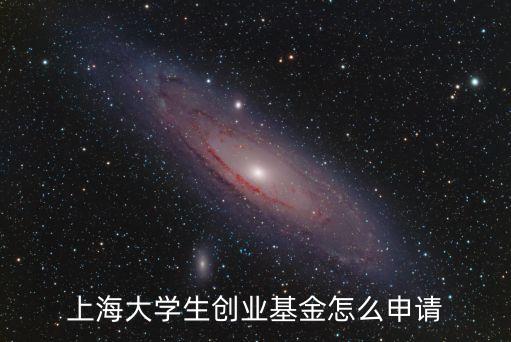 上海市 基金 管理辦法試行，上海大學生創業基金怎么申請