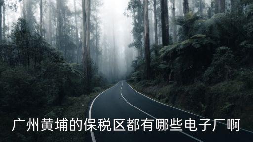 廣州黃埔的保稅區都有哪些電子廠啊