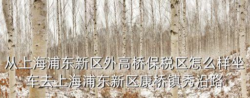 從上海浦東新區外高橋保稅區怎么樣坐車去上海浦東新區康橋鎮秀沿路
