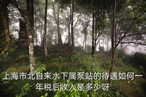 上海市北供水泵站管理所，上海市北自來水下屬泵站的待遇如何一年稅后收入是多少呀