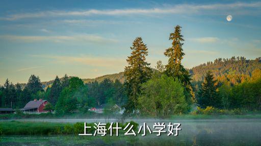 上海什么小學(xué)好