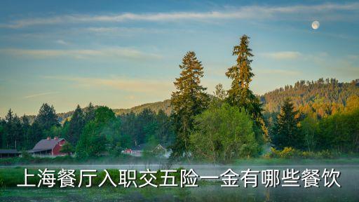 上海餐廳入職交五險一金有哪些餐飲