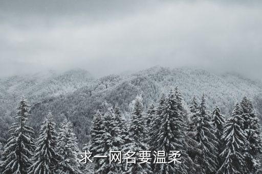 求一網名要溫柔