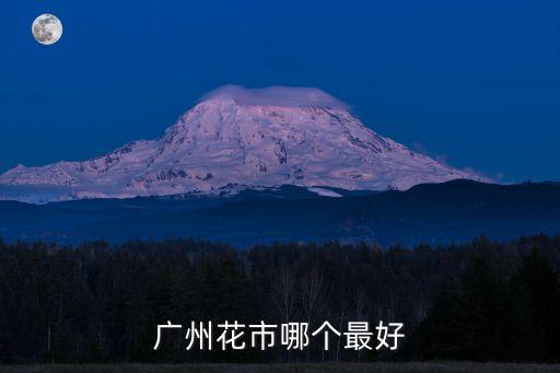 廣州最好的花街在哪里，廣州哪里花市最漂亮