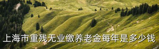 上海市重殘無業繳養老金每年是多少錢