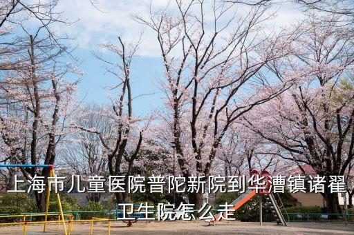 上海市華漕兒童拳擊，上海哪有學拳擊的