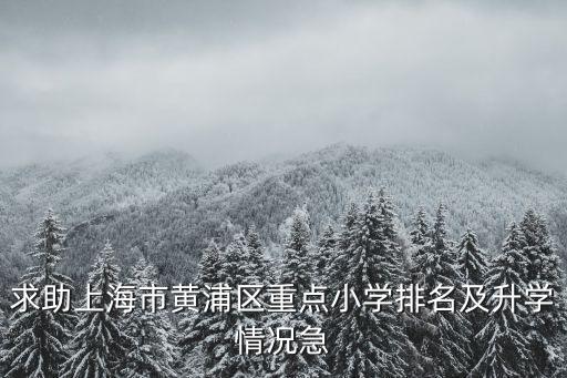 求助上海市黃浦區重點小學排名及升學情況急