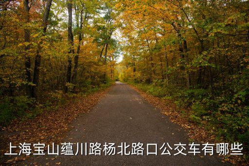 上海市寶山14，上海寶山蘊川路楊北路口公交車有哪些