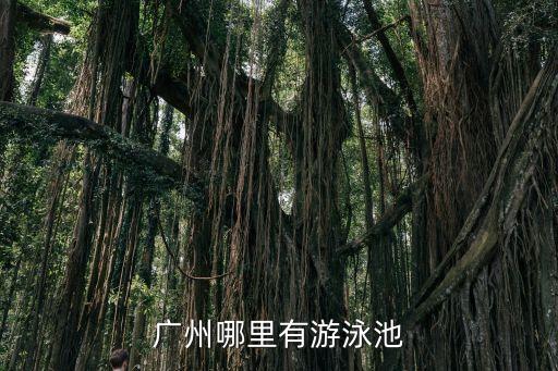 廣州騰輝游泳館，廣州最大游泳池