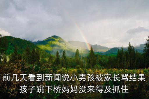 前幾天看到新聞說小男孩被家長罵結果孩子跳下橋媽媽沒來得及抓住