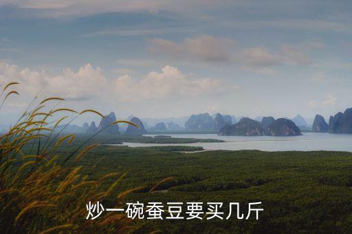 上海市蠶豆零售價多少錢，炒一碗蠶豆要買幾斤