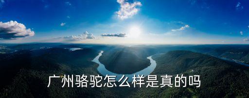 廣州的駱駝是真的嗎，廣州駱駝怎么樣是真的嗎