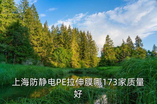 上海防靜電PE拉伸膜哪173家質量好