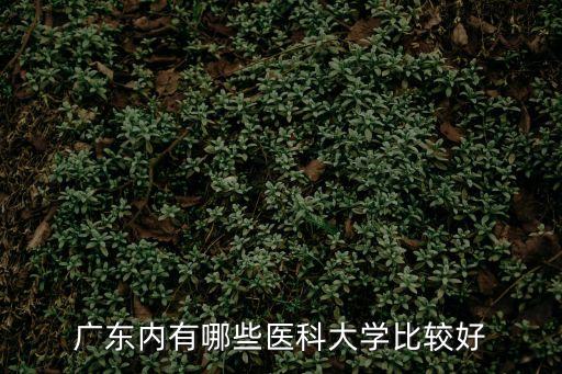 廣東內(nèi)有哪些醫(yī)科大學(xué)比較好