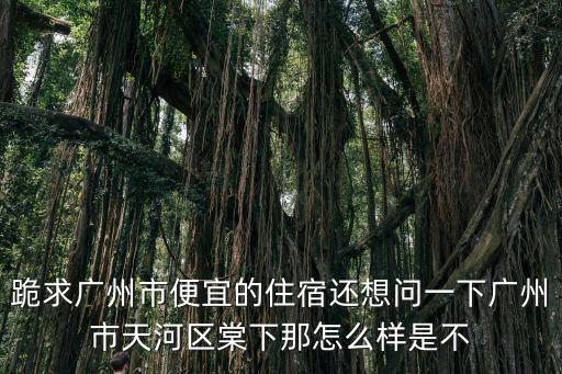 跪求廣州市便宜的住宿還想問一下廣州市天河區(qū)棠下那怎么樣是不