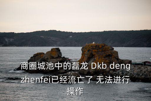 商圈城池中的磊龍 Dkb dengzhenfei已經流亡了 無法進行操作