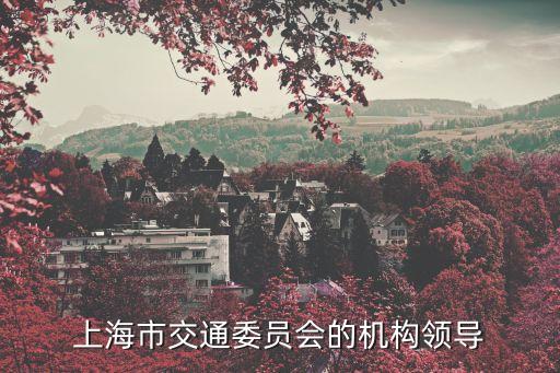 上海市交通委黨組，上海現任交通局局長是誰