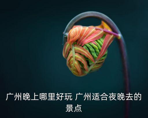 廣州晚上哪里好玩 廣州適合夜晚去的景點