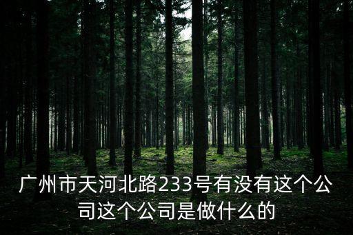 廣州市天河北路233號(hào)有沒有這個(gè)公司這個(gè)公司是做什么的