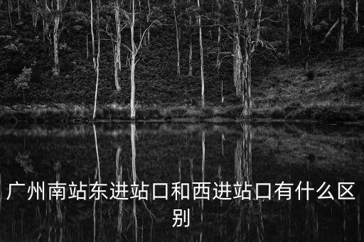 廣州南站平臺(tái)進(jìn)站口，廣州南站高鐵在那個(gè)入口