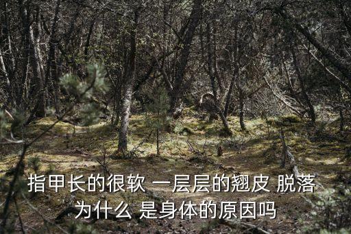 手指甲起層的圖片，指甲變厚 分兩層 如圖所示 之前不知為何淤血了 然后就開始感覺指甲厚