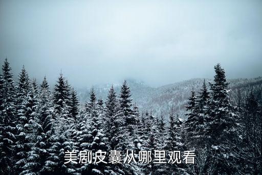 皮囊美劇，美劇皮囊從哪里觀看