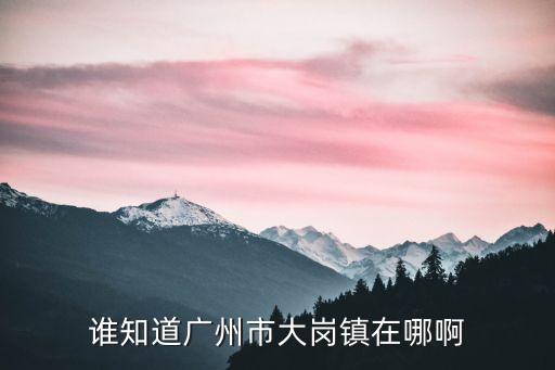 廣州車陂大崗2030，車陂大崗路坐什么車具體位置在哪里