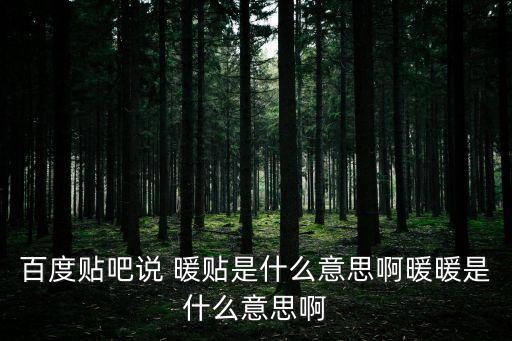 百度貼吧說 暖貼是什么意思啊暖暖是什么意思啊