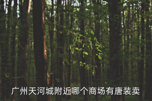廣州天河城附近哪個商場有唐裝賣