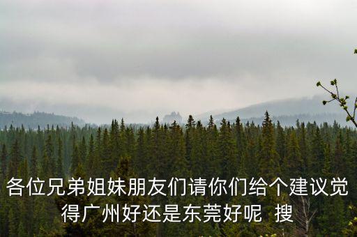 各位兄弟姐妹朋友們請你們給個建議覺得廣州好還是東莞好呢  搜