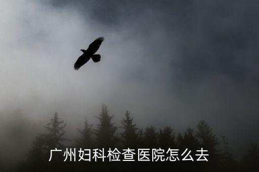 廣州婦科檢查醫院怎么去