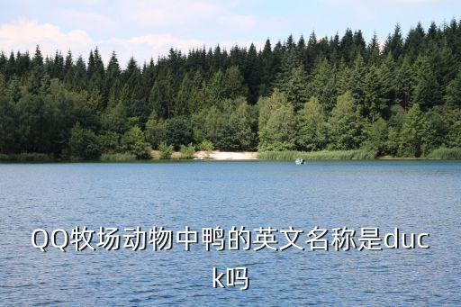 鴨子的英文，QQ牧場動物中鴨的英文名稱是duck嗎