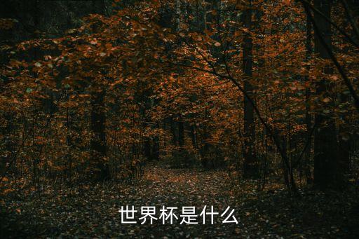 世界杯，世界杯是什么