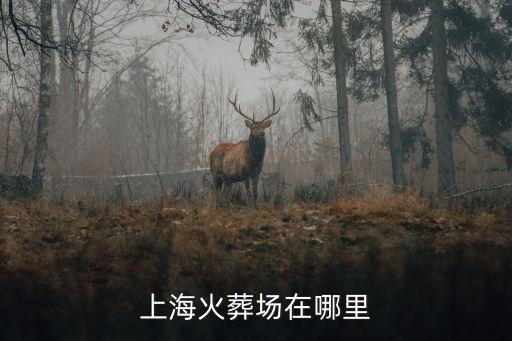 上海市最大火葬場，上海火藏廠在那